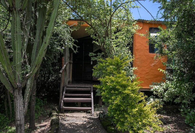 هتل Punda Milias Lodge