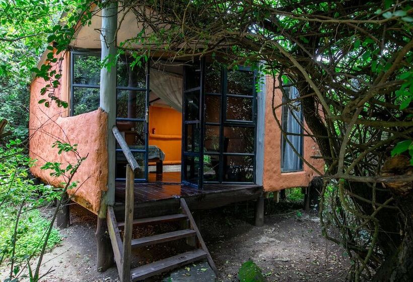 هتل Punda Milias Lodge