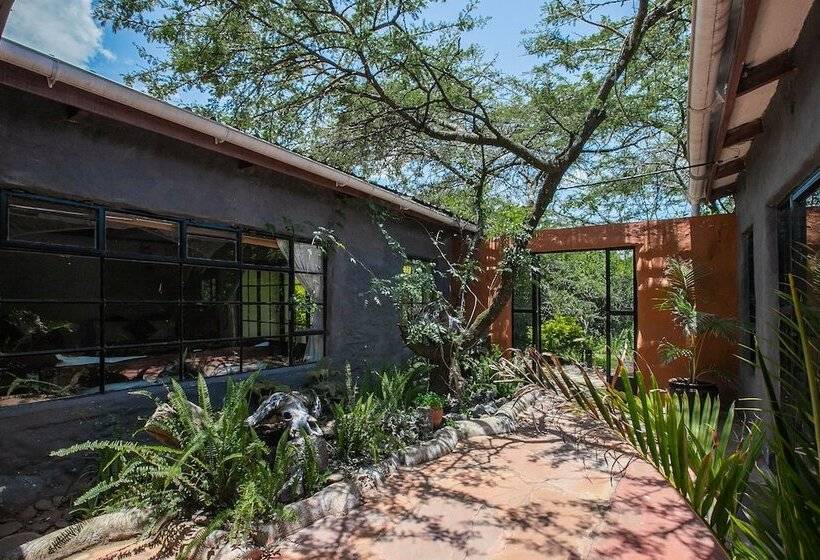 هتل Punda Milias Lodge