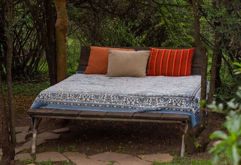 هتل Punda Milias Lodge