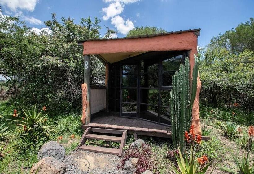 هتل Punda Milias Lodge