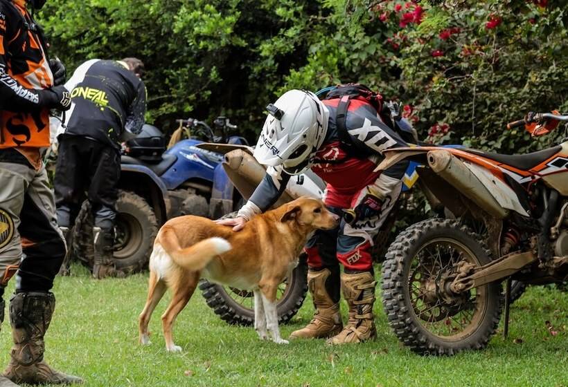 هتل Punda Milias Lodge