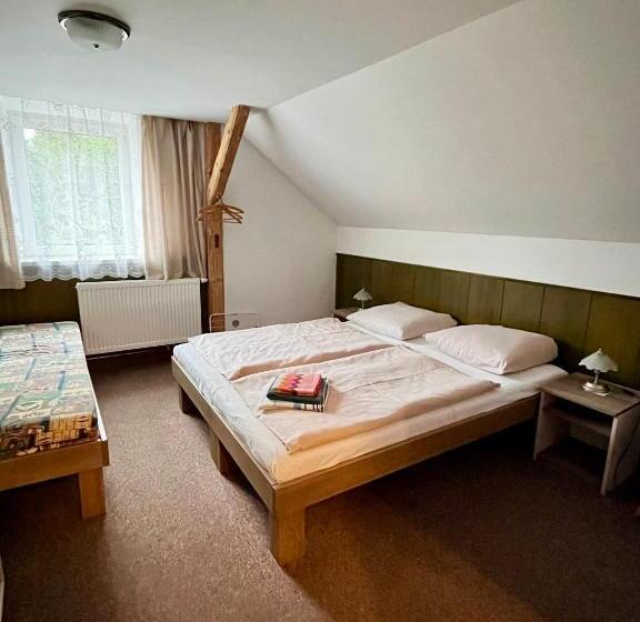 Pension Penzion U Zemánků