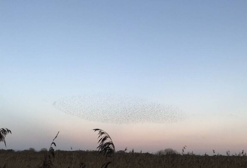 צימר Double Gate Farm