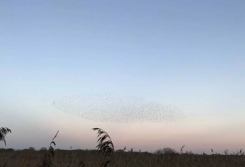 ベッドアンドブレックファースト Double Gate Farm