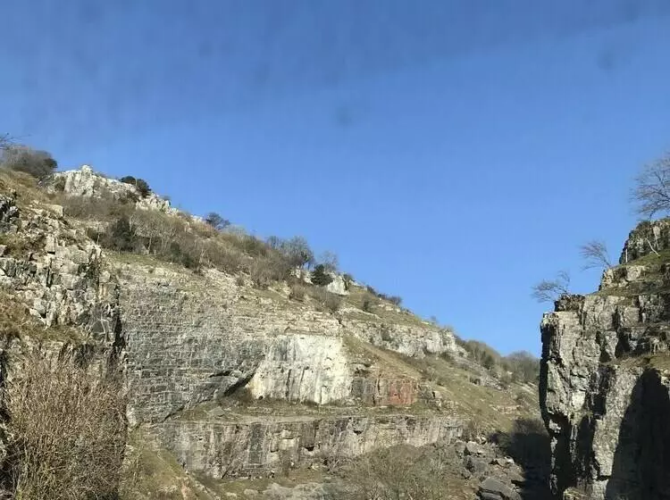 ベッドアンドブレックファースト Double Gate Farm