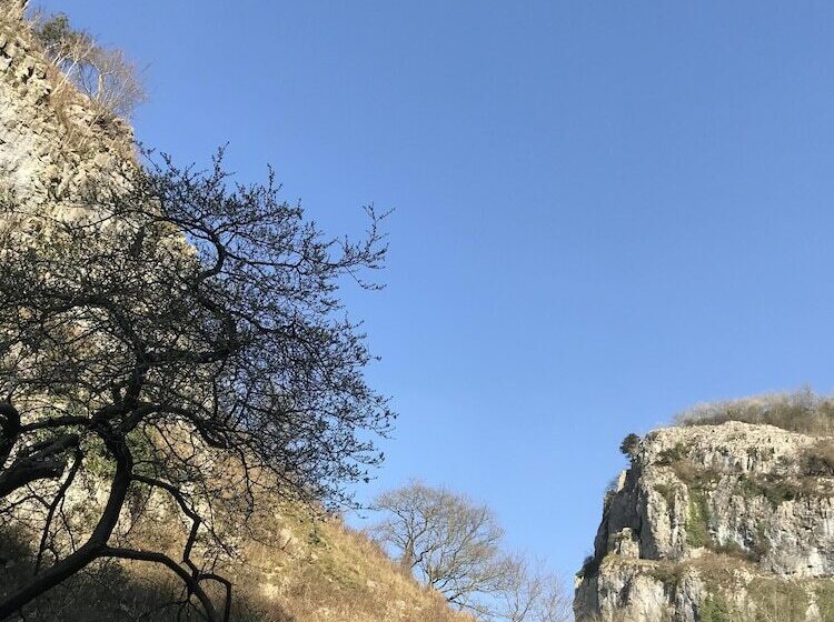 צימר Double Gate Farm