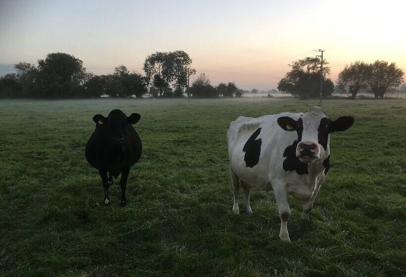 צימר Double Gate Farm