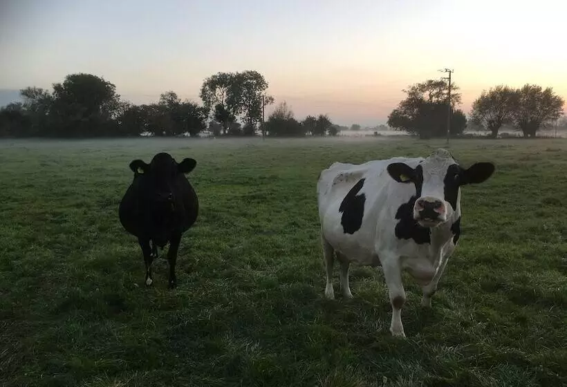 ベッドアンドブレックファースト Double Gate Farm