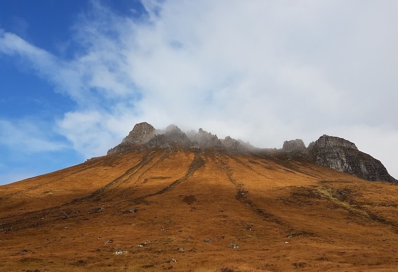 ベッドアンドブレックファースト Newton Lodge
