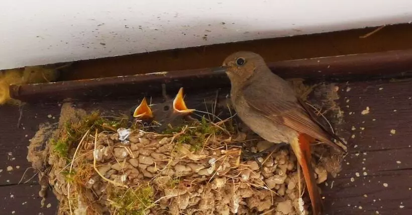 Hotelli & Gasthof Garküche