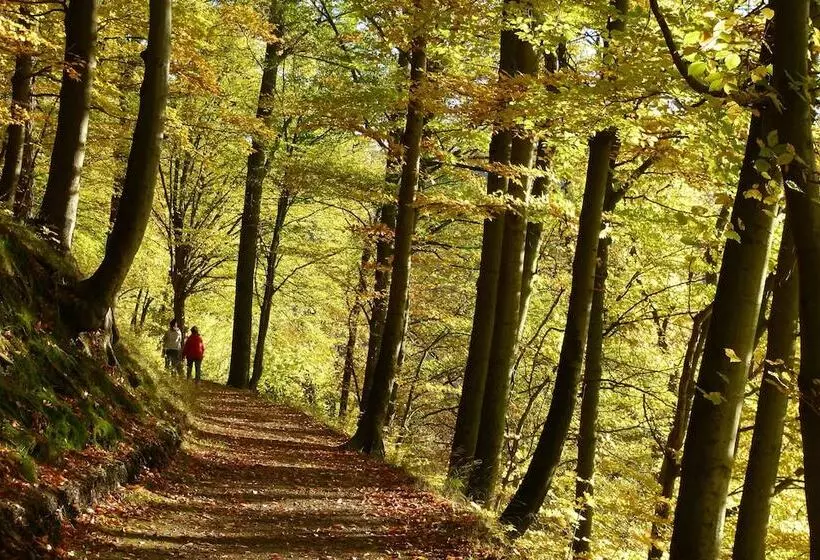 Hotelli & Gasthof Garküche