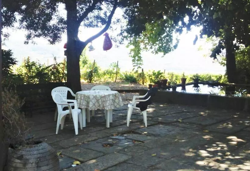 Maaseutuhotelli Quinta Da Cumieira