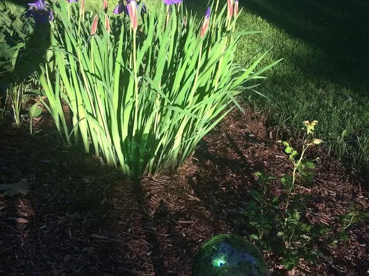 ユースホステル Waybury Inn