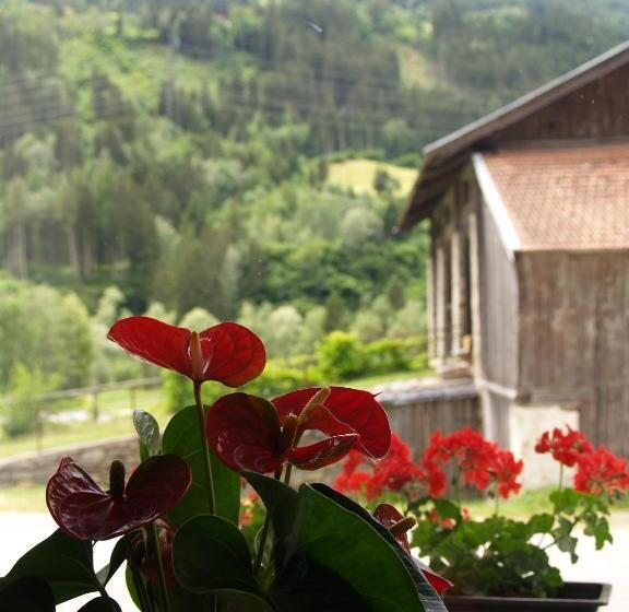 مبيت وإفطار Aineterhof