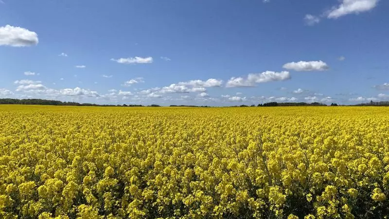 ベッドアンドブレックファースト Huset I Hejls