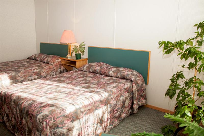 فندق Alberta House