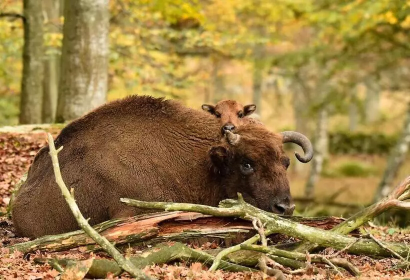 Eriksberg Hotel & Nature Reserve