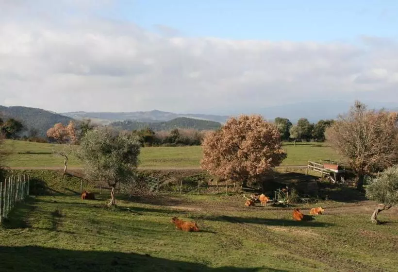 ホテル Farmhouse Tuscany