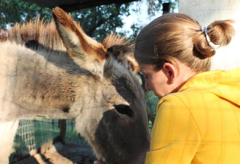酒店 Il Rifugio Del Contadino Art & Nature