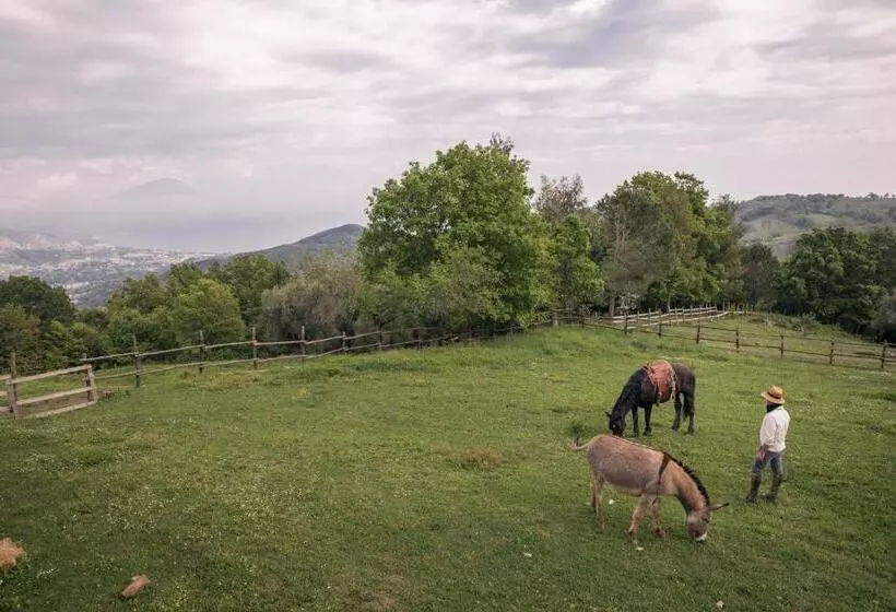 ホテル Il Rifugio Del Contadino Art & Nature