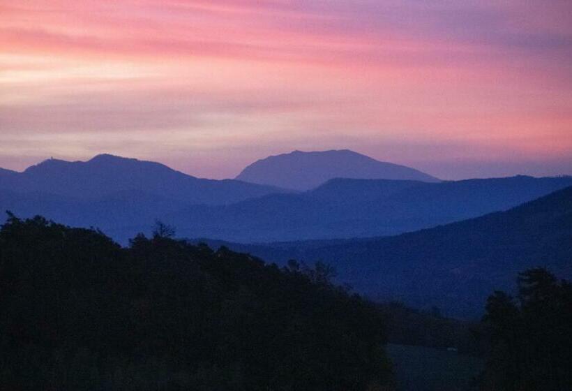 فندق Willi's Bauernhof