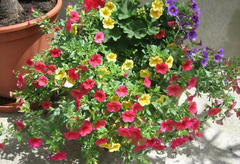 Hotelli Willi's Bauernhof