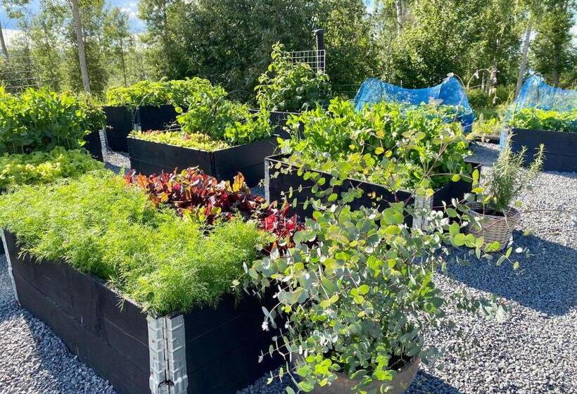 Sörbygården Bed & Breakfast