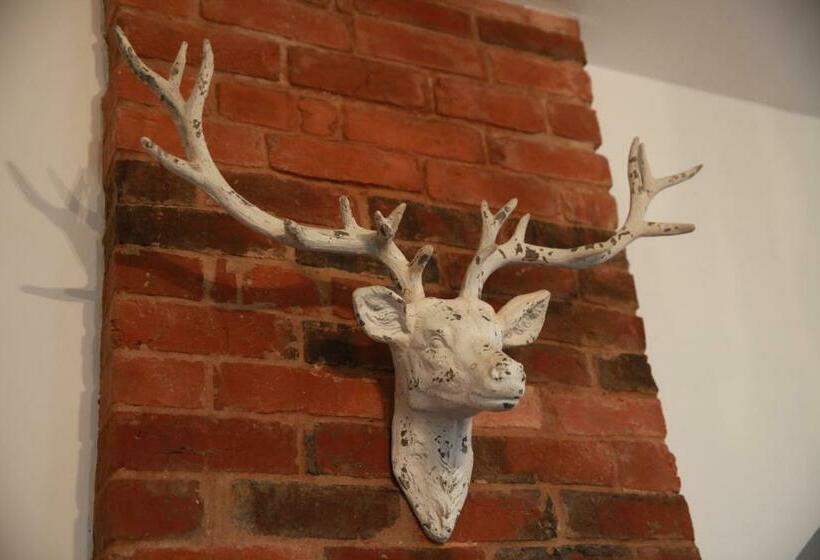 فندق صغير Manor House Inn