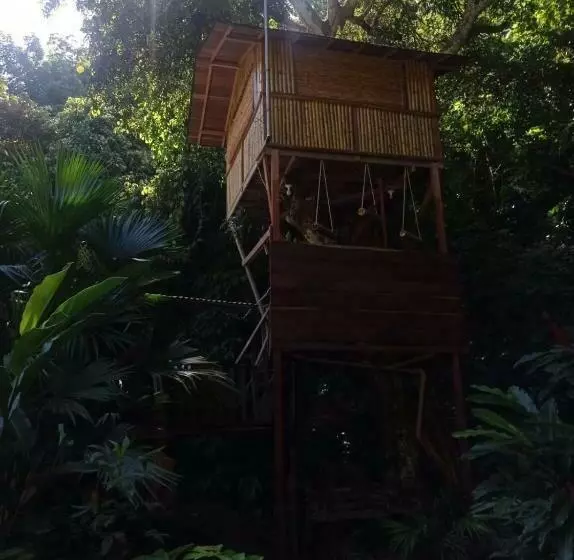 ユースホステル Treegana