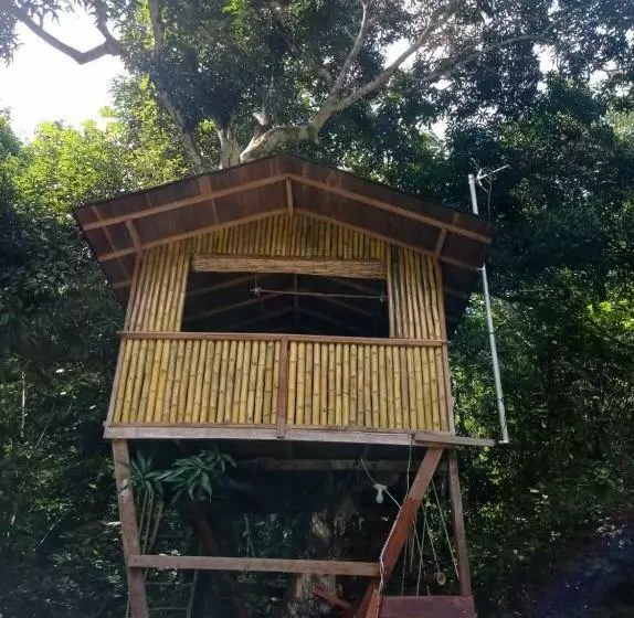 ユースホステル Treegana