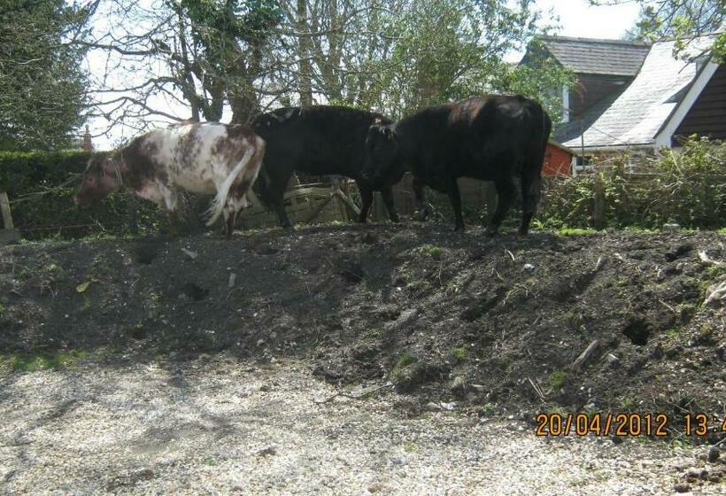 旅馆 Turfcutters Arms