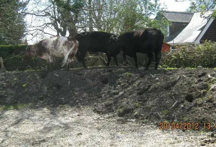 Retkeilymaja Turfcutters Arms