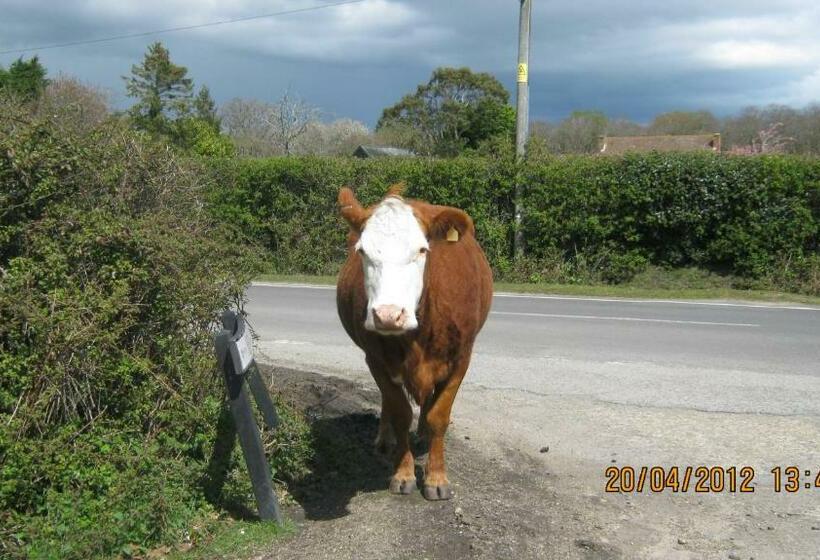 旅馆 Turfcutters Arms