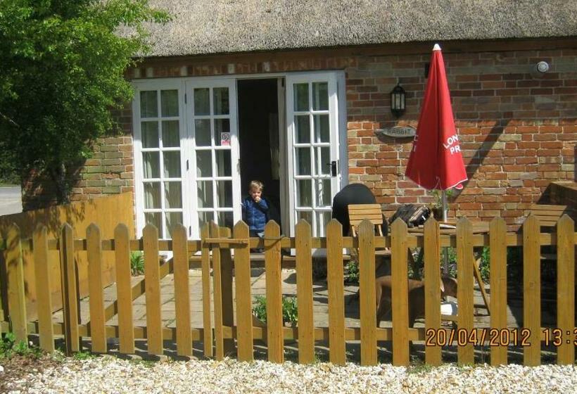 旅馆 Turfcutters Arms