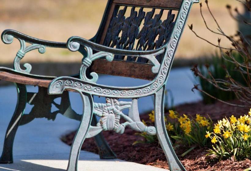 ベッドアンドブレックファースト Foster's Bethel Beach Inn