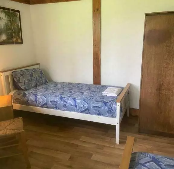 ベッドアンドブレックファースト Haven Of Trees   Hafan Y Coed