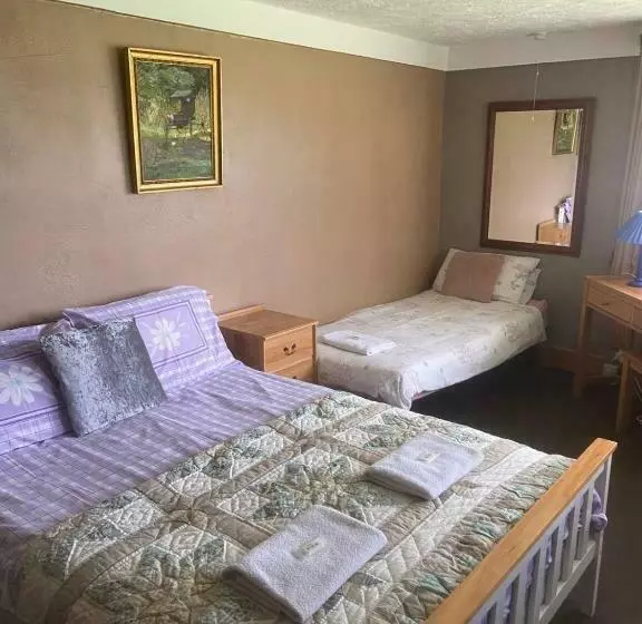 ベッドアンドブレックファースト Haven Of Trees   Hafan Y Coed