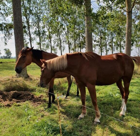 ベッドアンドブレックファースト La Bastide Du Moulin   Mont St Michel