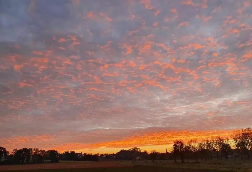 ベッドアンドブレックファースト La Bastide Du Moulin   Mont St Michel