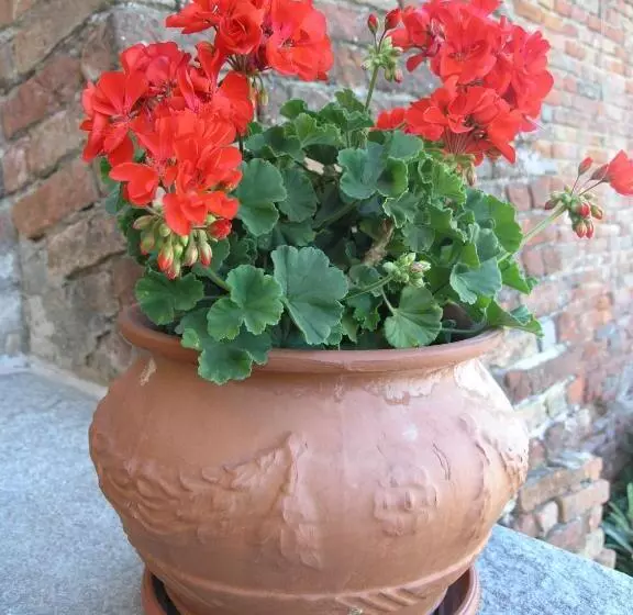 Aamiaismajoitus (B&B) La Cantinetta Resort