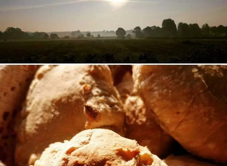 Aamiaismajoitus (B&B) årröds Boställe