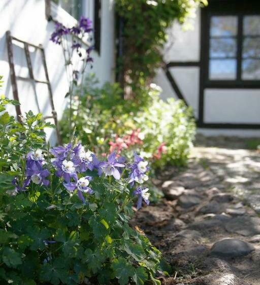 مبيت وإفطار årröds Boställe