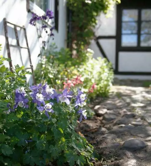 Aamiaismajoitus (B&B) årröds Boställe