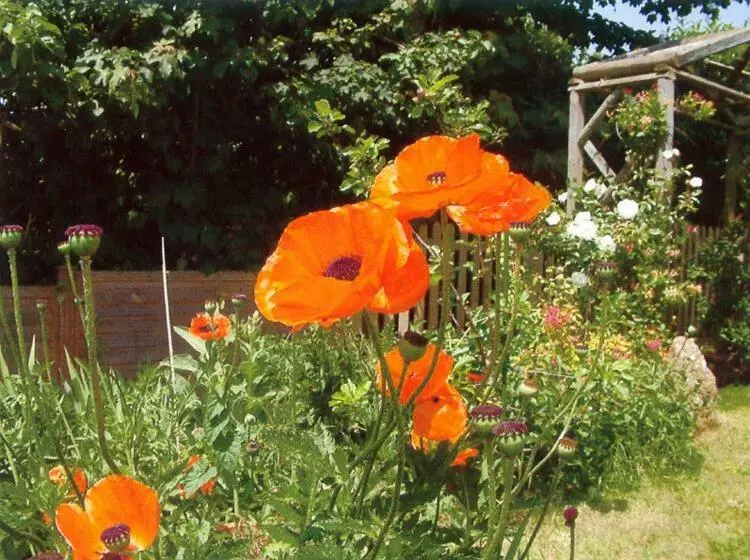 ベッドアンドブレックファースト Wheelwrights