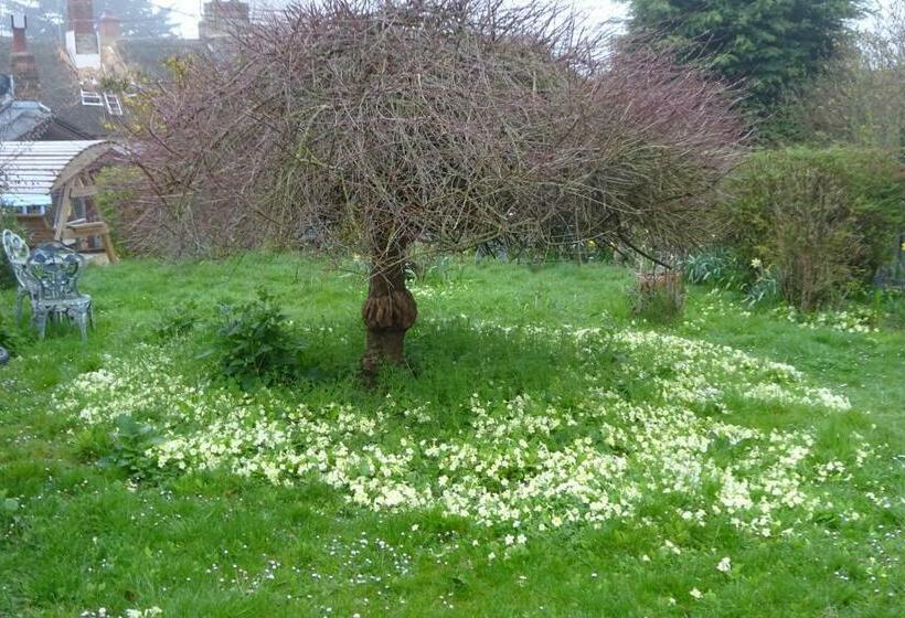 ベッドアンドブレックファースト Wheelwrights