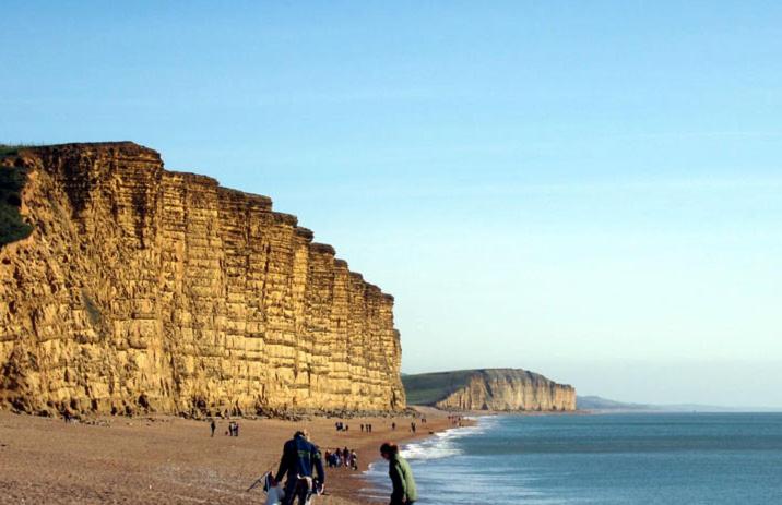 ベッドアンドブレックファースト Wheelwrights