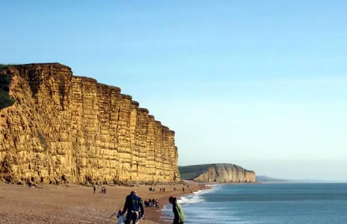 ベッドアンドブレックファースト Wheelwrights