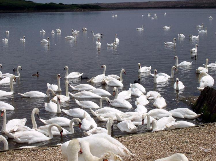 ベッドアンドブレックファースト Wheelwrights