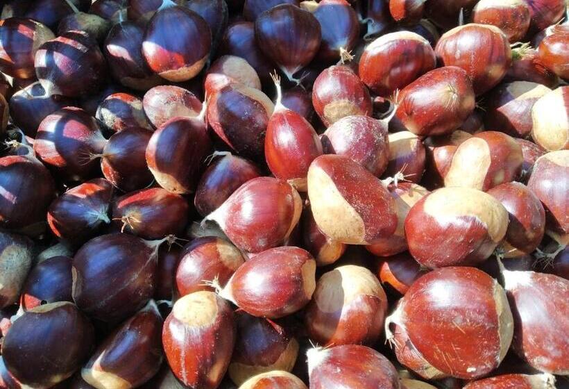 호텔 A Casa Del Tosi